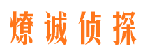 莲花侦探公司